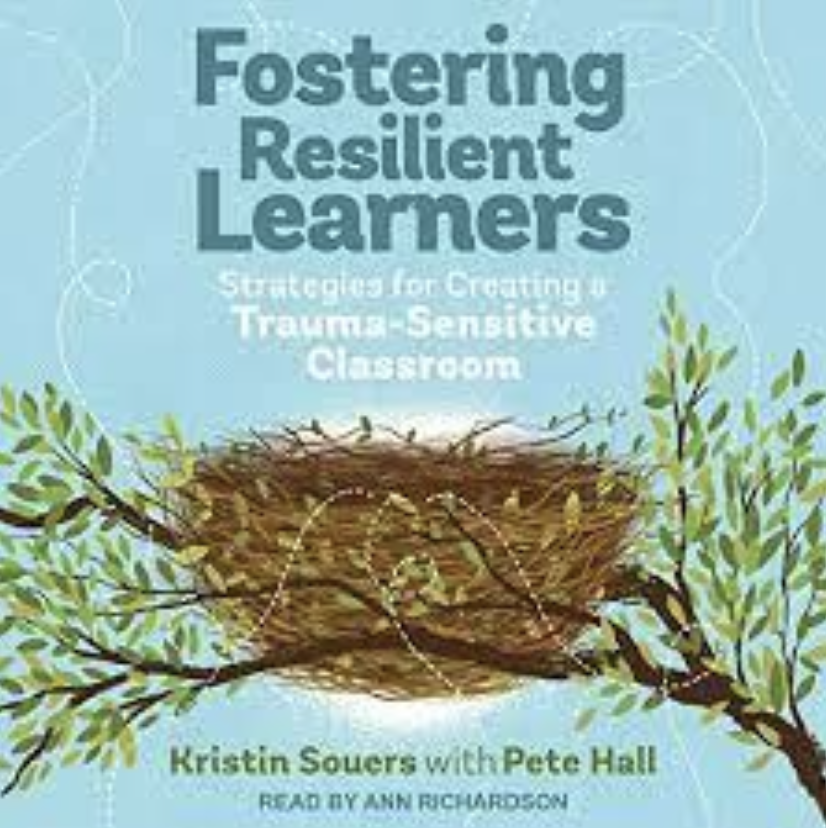 Maximizing Resilient Learners-Book Study